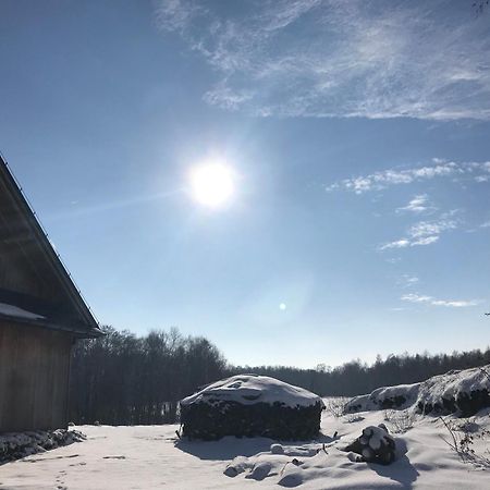 Wabrzezno Zurawi Jar Bed & Breakfast エクステリア 写真